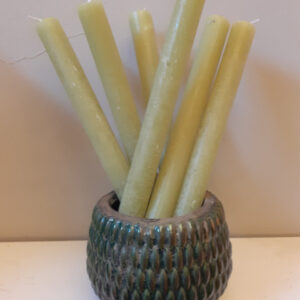 Dinner Candle (Avocado) 4 pack