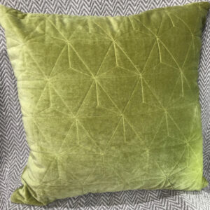 Stonewash Velvet Cushion (Olive)