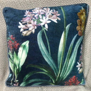 Velvet Cushion (Agapanthus White)