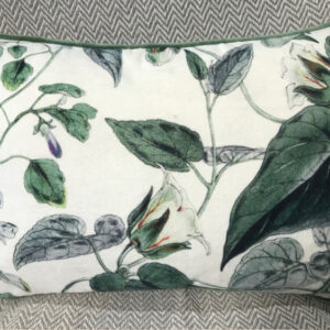 Velvet Cushion (Liana)