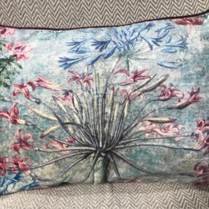 Velvet Cushion (Agapanthus Pink/Blue)