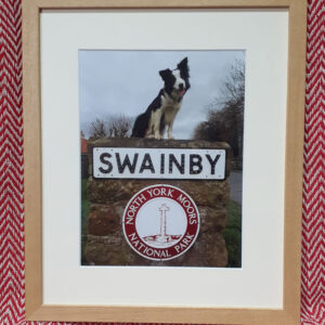 Meg Swainby Framed Print (Pine)